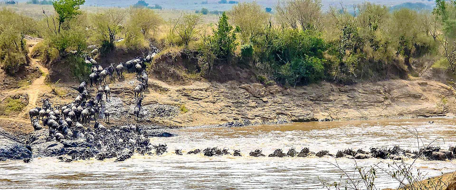 Kenya safari